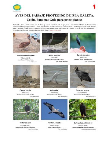 AVES DEL PAISAJE PROTEGIDO DE ISLA GALETA, ColÃ³n, PanamÃ¡