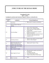 STRUCTURE OF THE HUMAN BODY Vertebral Levels