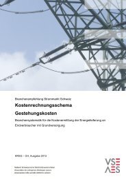 Branchenempfehlung Strommarkt Schweiz - VSE