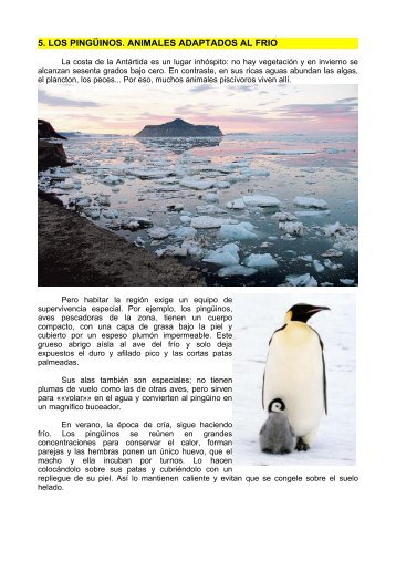 5. los pingüinos. animales adaptados al frio - Dolmen de Soto