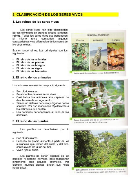 3. CLASIFICACIÓN DE LOS SERES VIVOS - Dolmen de Soto