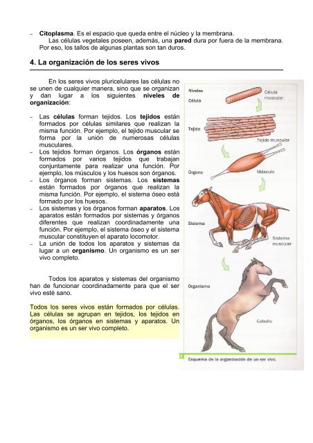 1. LOS SERES VIVOS POR DENTRO 1. Qué es la ... - Dolmen de Soto