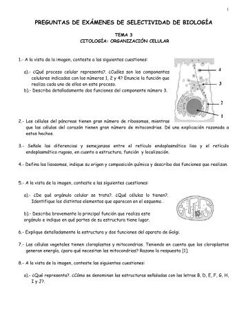 PREGUNTAS DE EXÁMENES DE ... - Dolmen de Soto