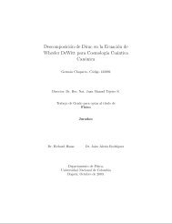 Descomposición de Dirac en la Ecuación de Wheeler DeWitt para ...