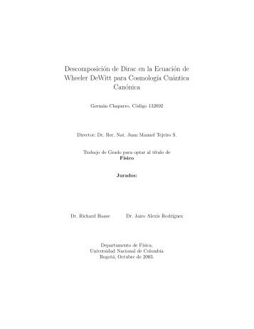 Descomposición de Dirac en la Ecuación de Wheeler DeWitt para ...