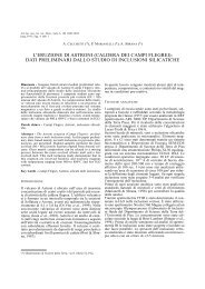 Apri pdf - SocietÃ  Toscana di Scienze Naturali