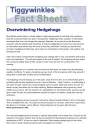 Overwintering Hedgehogs.pdf - St Tiggywinkles