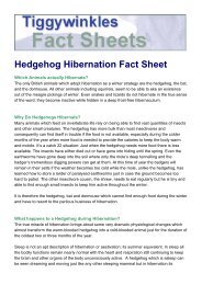 Hedgehog Hibernation Fact Sheet.pdf - St Tiggywinkles