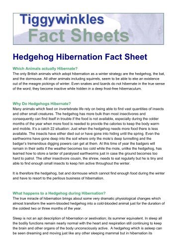 Hedgehog Hibernation Fact Sheet.pdf - St Tiggywinkles