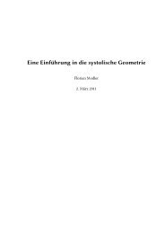 Eine EinfÃ¼hrung in die systolische Geometrie