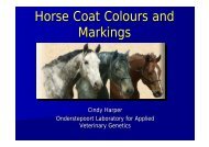 Horse Coat Colours Presentation 2008