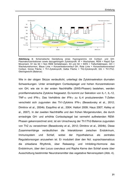 Die regulatorische Rolle von Cortisol und Wachstumshormon auf ...