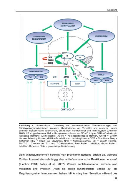 Die regulatorische Rolle von Cortisol und Wachstumshormon auf ...