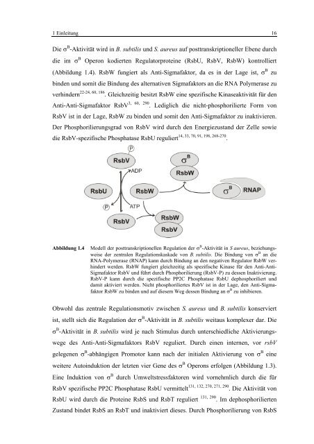 Regulationsmechanismen von Oxacillinresistenz und Biofilmbildung ...