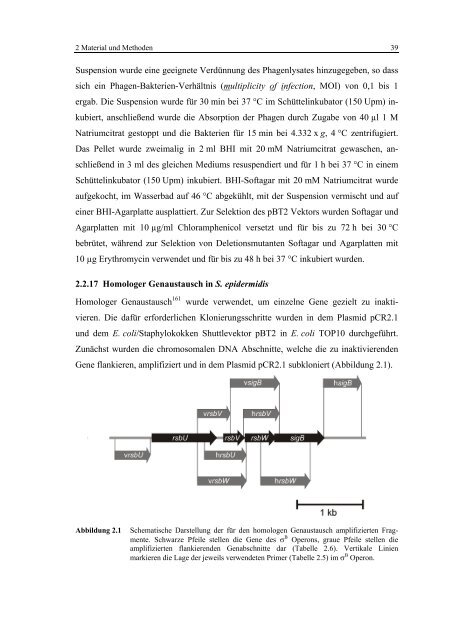 Regulationsmechanismen von Oxacillinresistenz und Biofilmbildung ...