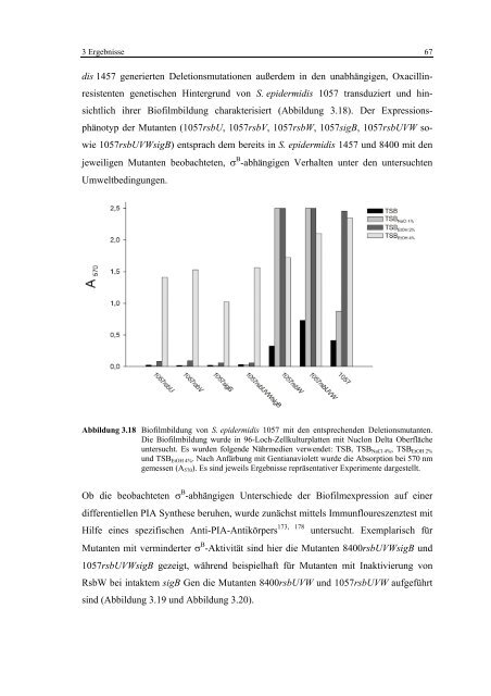 Regulationsmechanismen von Oxacillinresistenz und Biofilmbildung ...