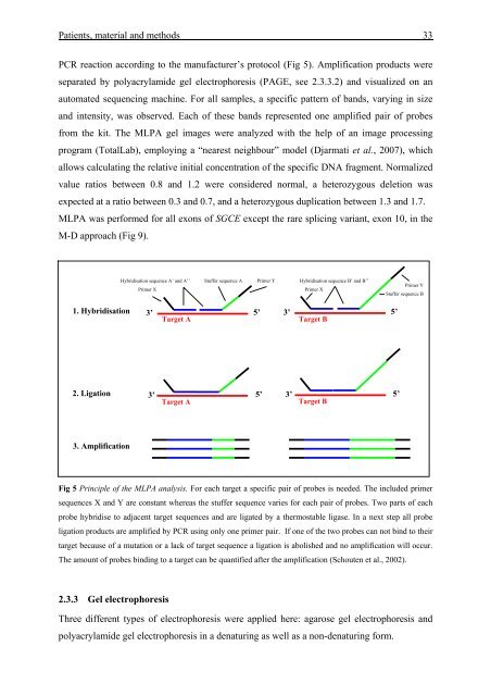 Molecular characterisation of SGCE-associated myoclonus-dystonia ...