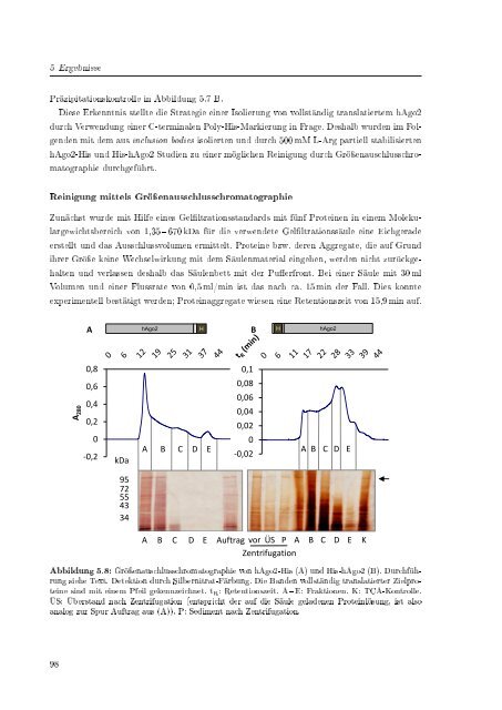 Biochemische Charakterisierung der siRNA-vermittelten Erkennung ...