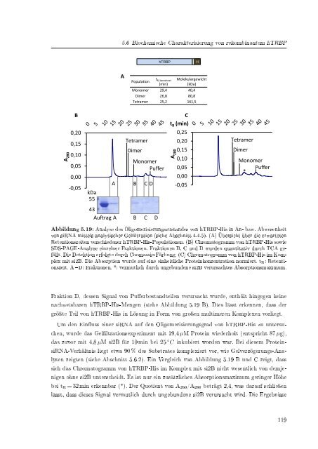 Biochemische Charakterisierung der siRNA-vermittelten Erkennung ...