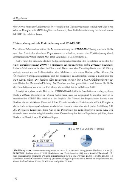 Biochemische Charakterisierung der siRNA-vermittelten Erkennung ...