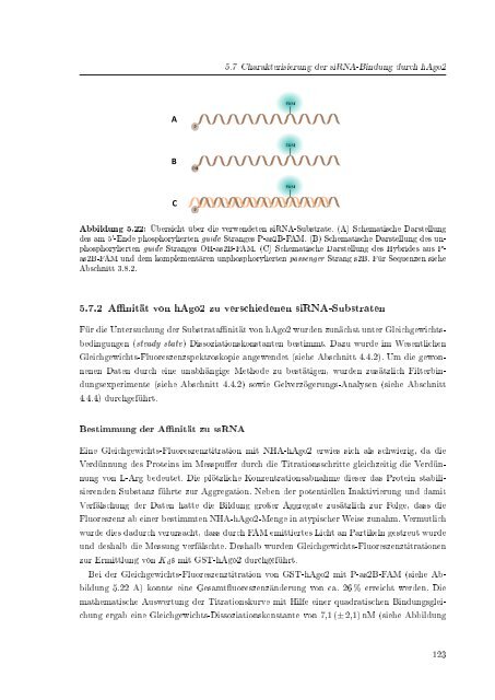 Biochemische Charakterisierung der siRNA-vermittelten Erkennung ...