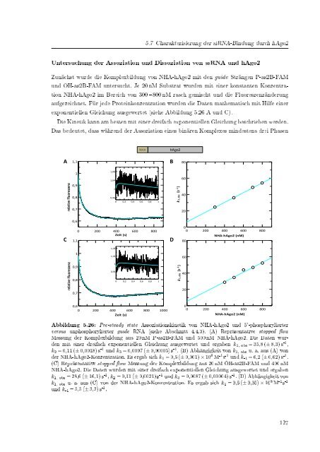 Biochemische Charakterisierung der siRNA-vermittelten Erkennung ...