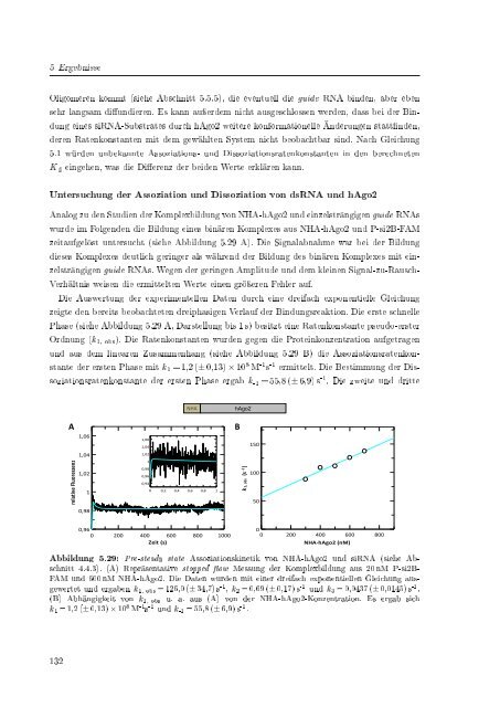 Biochemische Charakterisierung der siRNA-vermittelten Erkennung ...