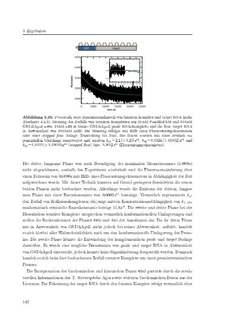 Biochemische Charakterisierung der siRNA-vermittelten Erkennung ...