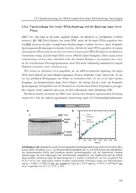 Biochemische Charakterisierung der siRNA-vermittelten Erkennung ...