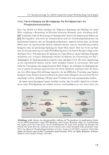 Biochemische Charakterisierung der siRNA-vermittelten Erkennung ...