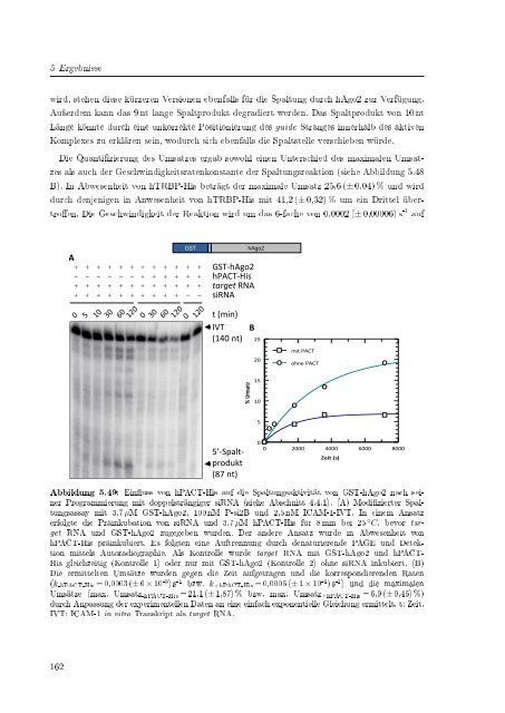 Biochemische Charakterisierung der siRNA-vermittelten Erkennung ...