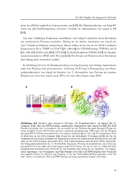 Biochemische Charakterisierung der siRNA-vermittelten Erkennung ...