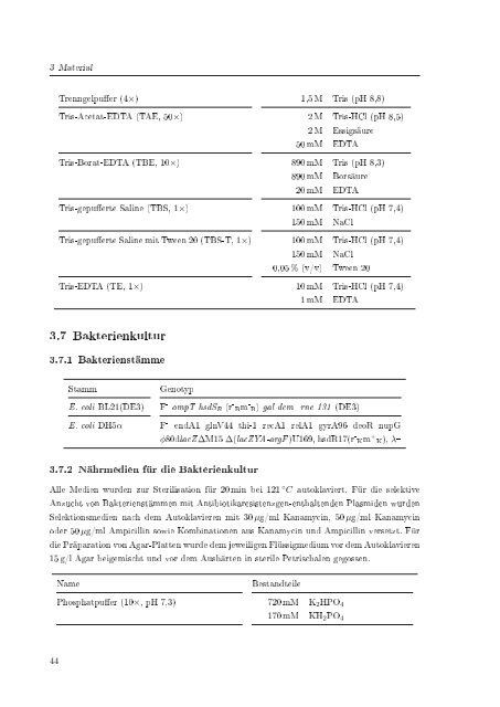 Biochemische Charakterisierung der siRNA-vermittelten Erkennung ...