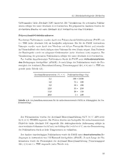 Biochemische Charakterisierung der siRNA-vermittelten Erkennung ...