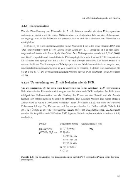 Biochemische Charakterisierung der siRNA-vermittelten Erkennung ...