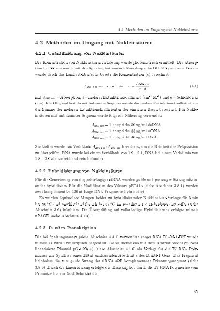 Biochemische Charakterisierung der siRNA-vermittelten Erkennung ...