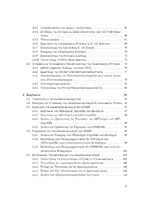 Biochemische Charakterisierung der siRNA-vermittelten Erkennung ...