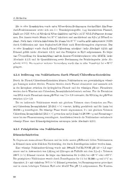 Biochemische Charakterisierung der siRNA-vermittelten Erkennung ...