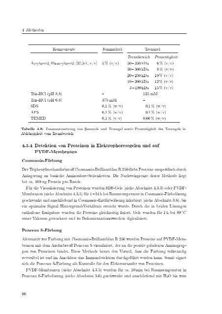 Biochemische Charakterisierung der siRNA-vermittelten Erkennung ...