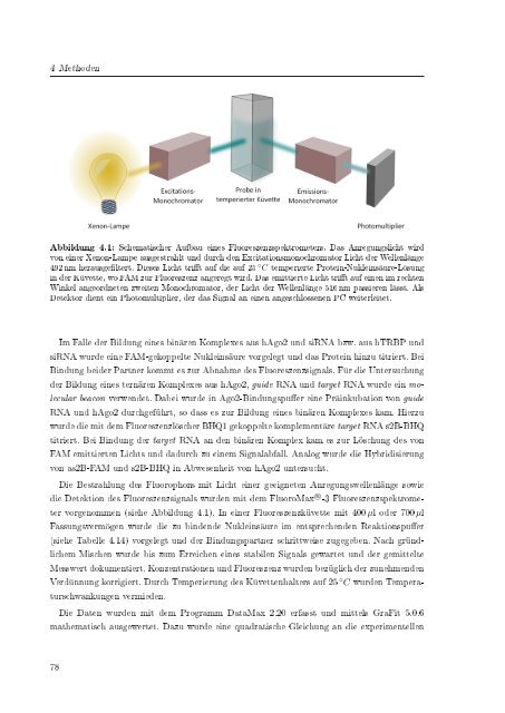 Biochemische Charakterisierung der siRNA-vermittelten Erkennung ...