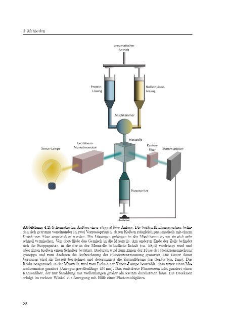 Biochemische Charakterisierung der siRNA-vermittelten Erkennung ...