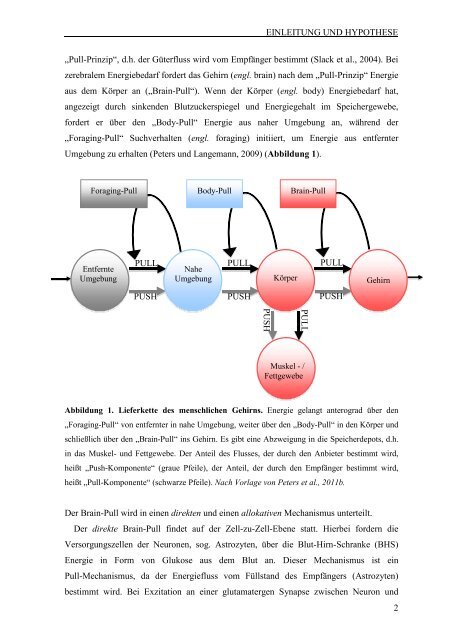 1 EINLEITUNG UND HYPOTHESEN - Universität zu Lübeck