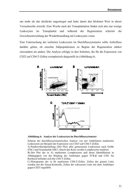 Bedeutung des Lymphotoxin-β-Rezeptors für die Bildung von ...