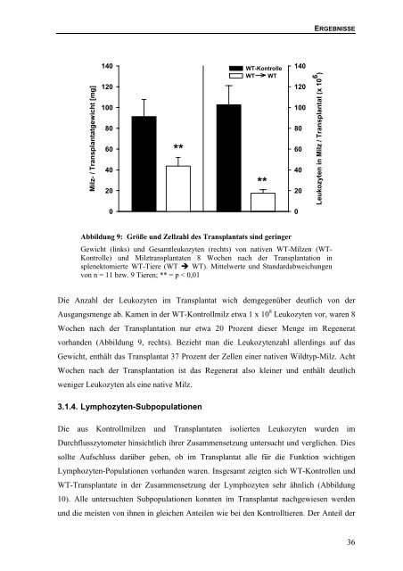 Bedeutung des Lymphotoxin-β-Rezeptors für die Bildung von ...