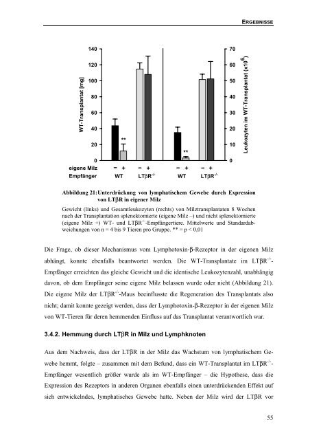 Bedeutung des Lymphotoxin-β-Rezeptors für die Bildung von ...