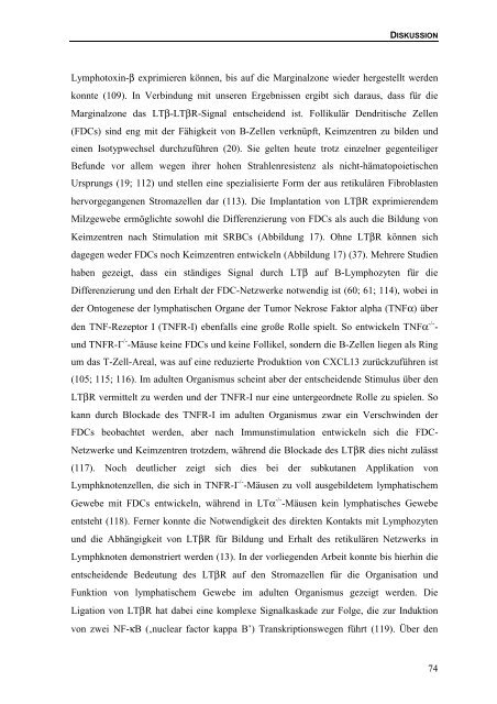 Bedeutung des Lymphotoxin-β-Rezeptors für die Bildung von ...