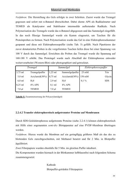 Identifizierung und Charakterisierung von Interaktionspartnern des ...