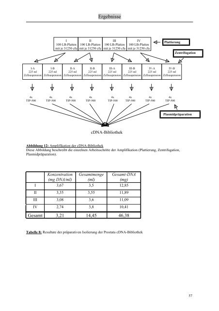 Identifizierung und Charakterisierung von Interaktionspartnern des ...