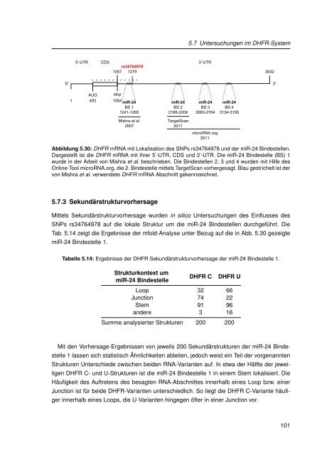 Mechanistische Analysen zu Krankheits-korrelierten SNPs in ...