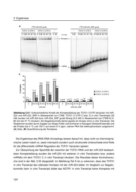 Mechanistische Analysen zu Krankheits-korrelierten SNPs in ...